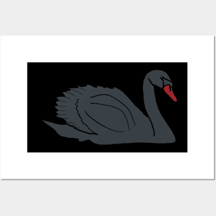 Black Swan Posters and Art